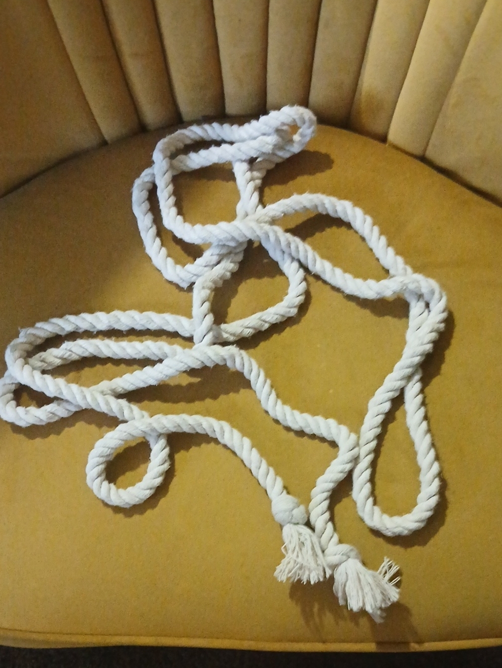 NWOT ROBE BELT